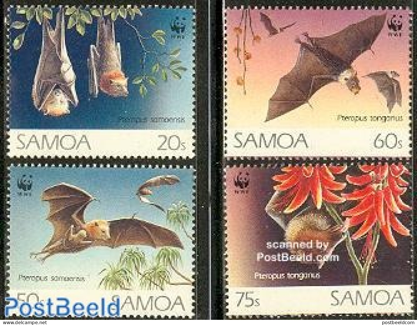 Samoa 1993 WWF, Flying Dogs 4v, Mint NH, Nature - Animals (others & Mixed) - Bats - World Wildlife Fund (WWF) - Samoa