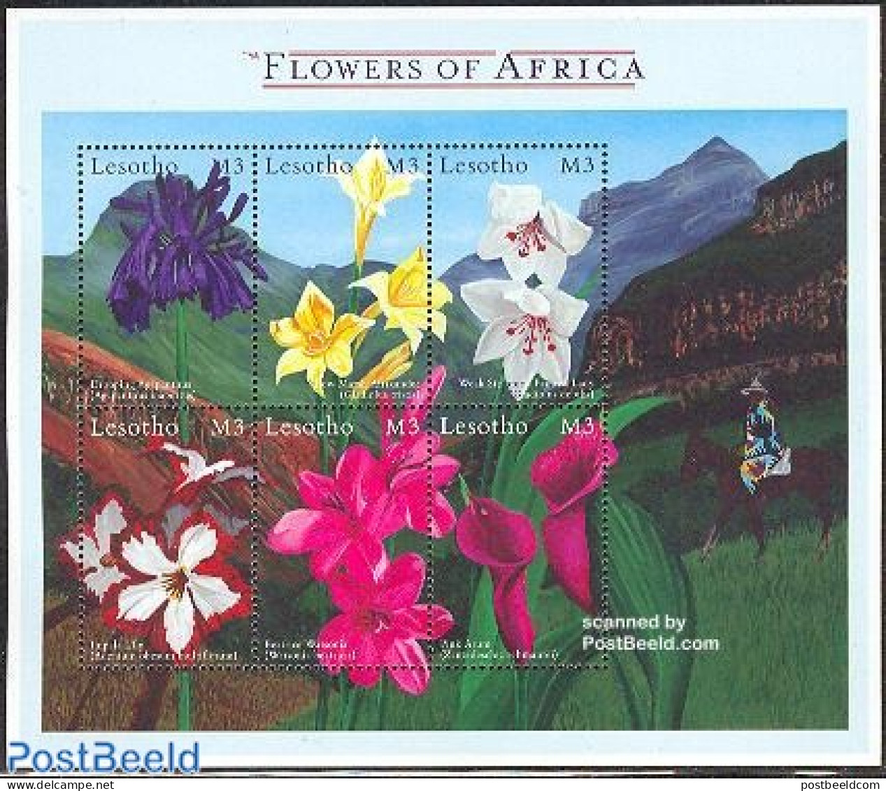 Lesotho 2000 African Flowers 6v M/s, Mint NH, Nature - Sport - Flowers & Plants - Horses - Mountains & Mountain Climbing - Arrampicata