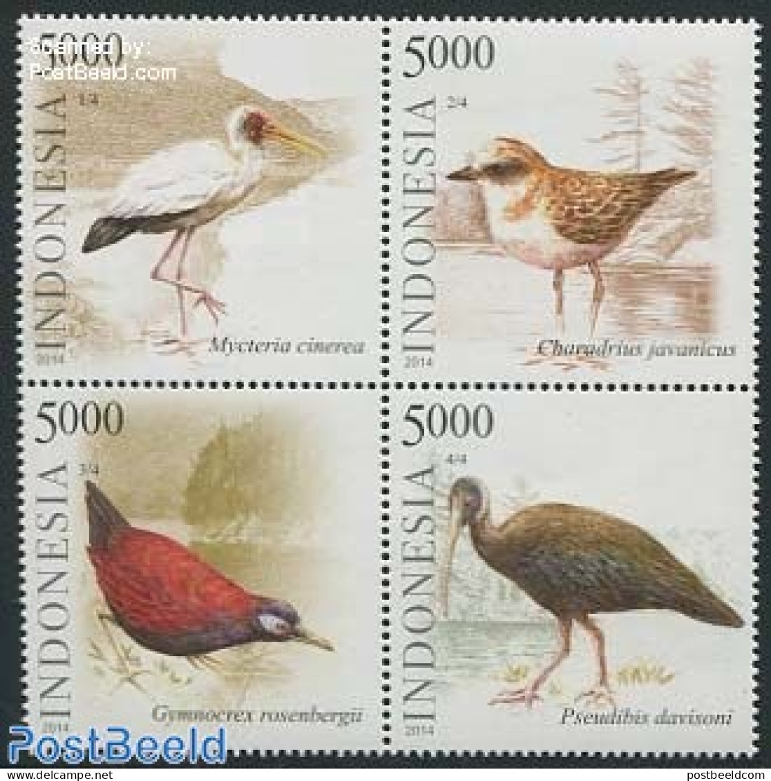 Indonesia 2014 Seabirds 4v [+], Mint NH, Nature - Birds - Indonesië