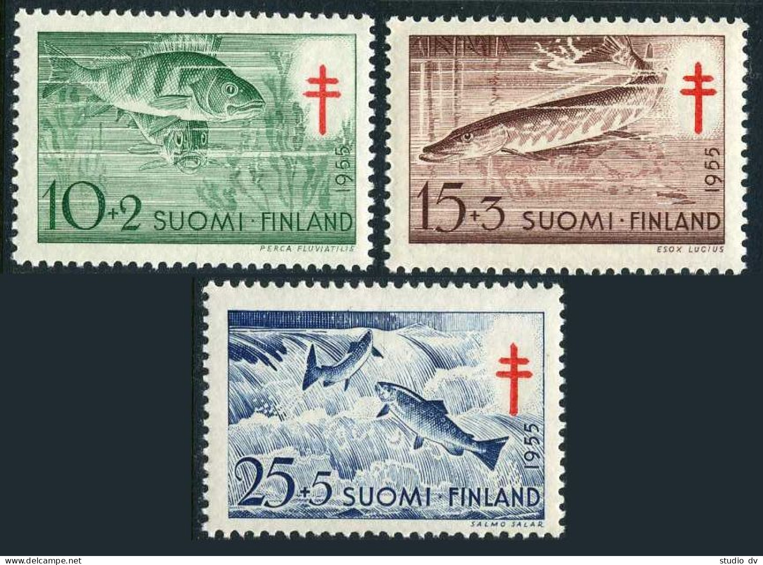 Finland B129-B131, MNH. Michel 443-445. Anti-tuberculosis-1955. Fish. - Nuevos