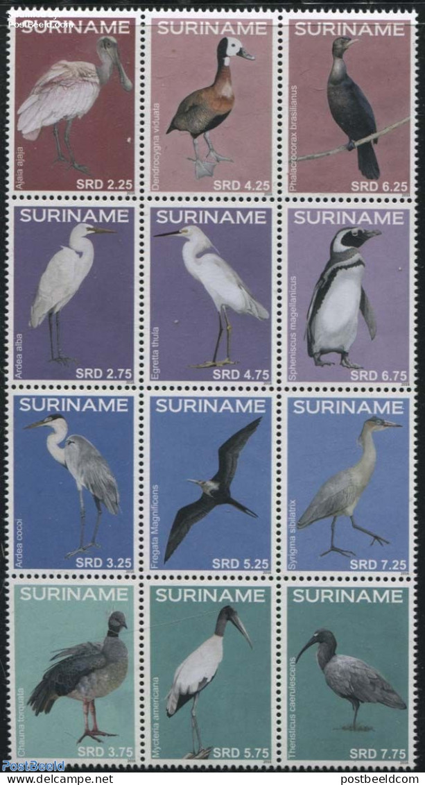 Suriname, Republic 2016 Birds 12v Sheetlet, Mint NH, Nature - Birds - Penguins - Surinam