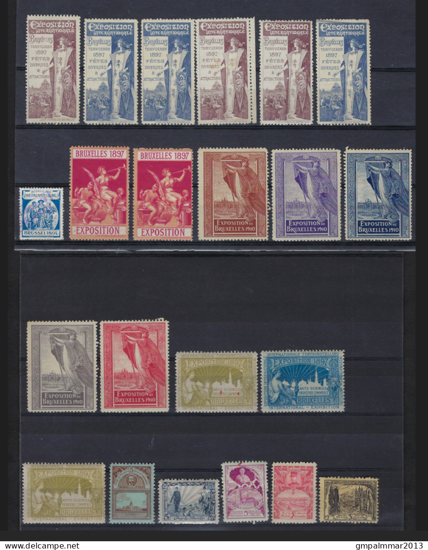 Lot Met Tentoonstellingszegels (waarbij ** MNH) En Zegels Voor De Verminkten , Details En Staat Zie 6 Scans ! LOT 235 - 1894-1896 Exhibitions