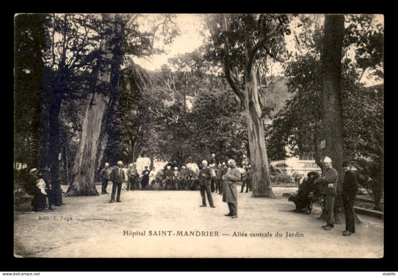 83 - ST-MANDRIER - ALLEE CENTRALE DU JARDIN DE L'HOPITAL - Saint-Mandrier-sur-Mer