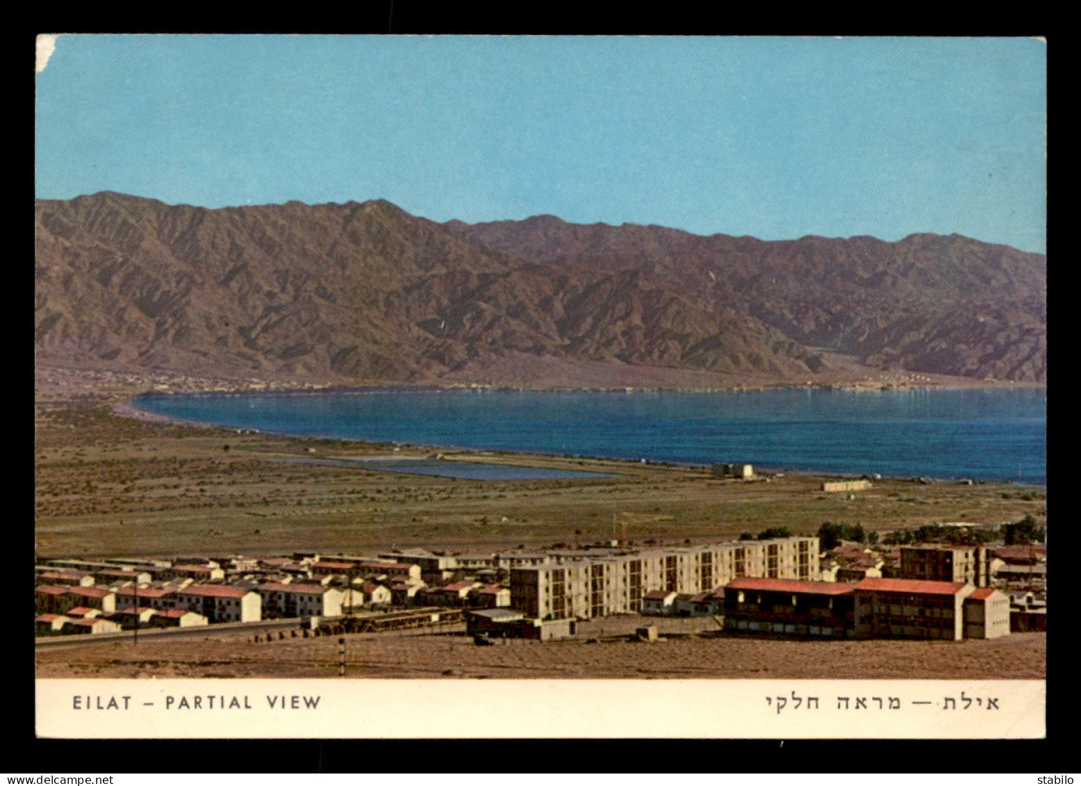 ISRAEL - EILAT - VUE PARTIELLE - Israël