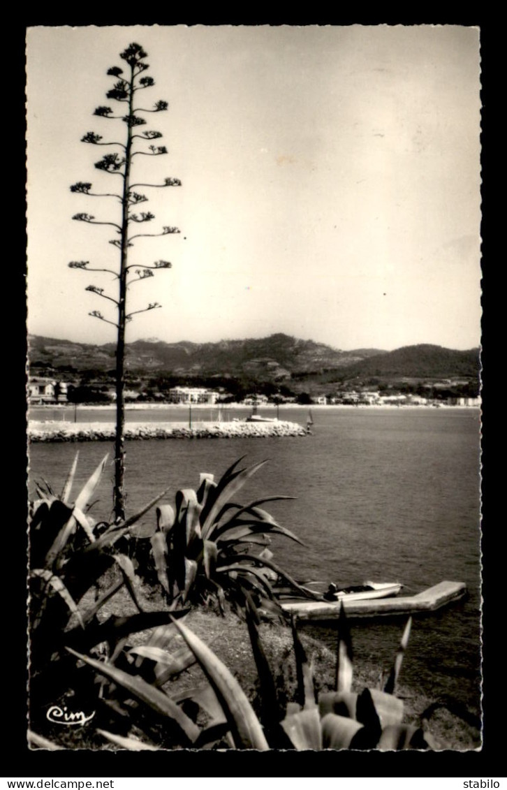 83 - SAINT-CYR - LES LECQUES - LE PORT ET LA PLAGE - Saint-Cyr-sur-Mer