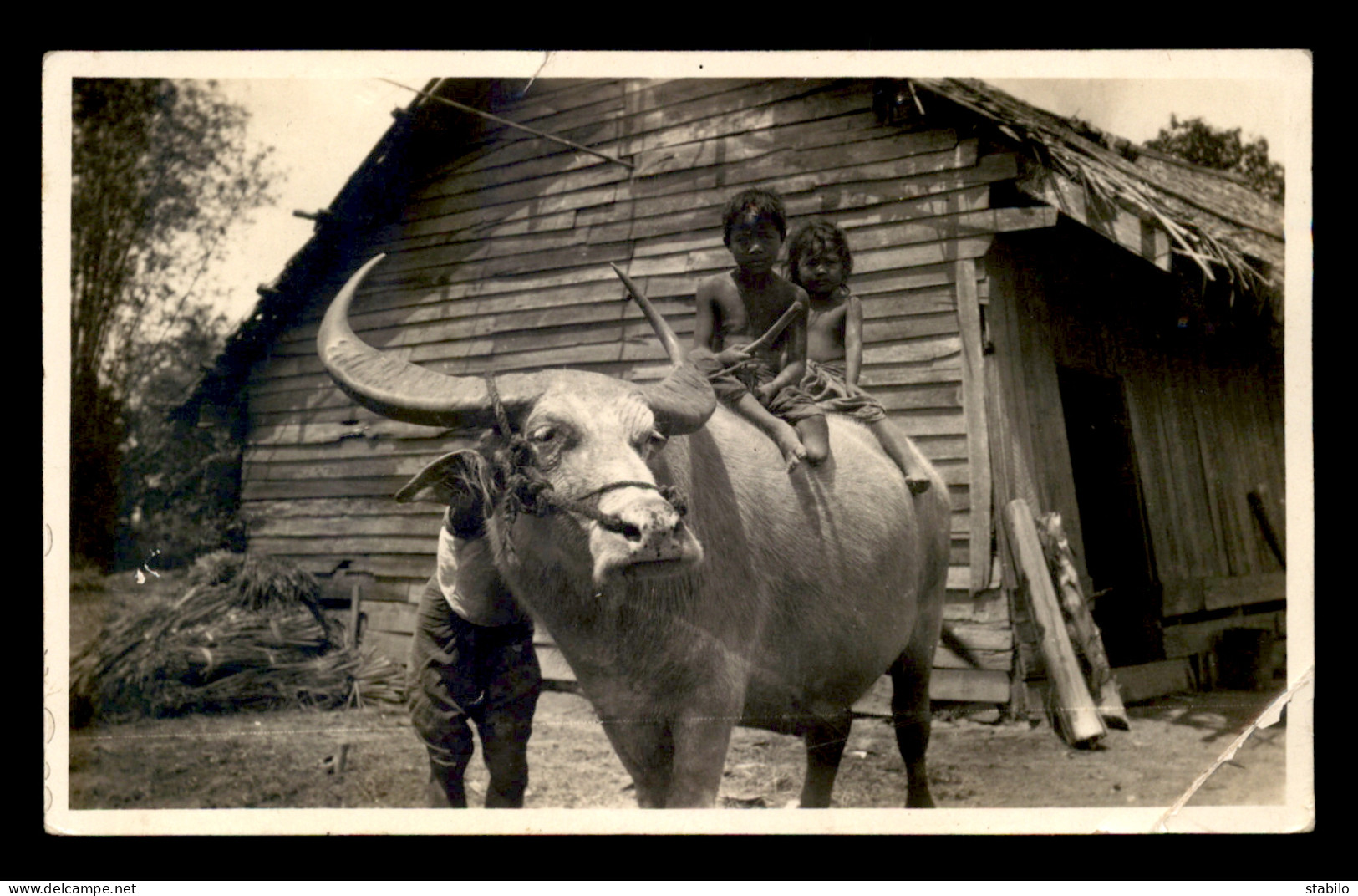 THAILANDE - ENFANTS - BANGKOK, THE SIAM PHOTO STUDIO - CARTE PHOTO ORIGINALE - Thaïlande