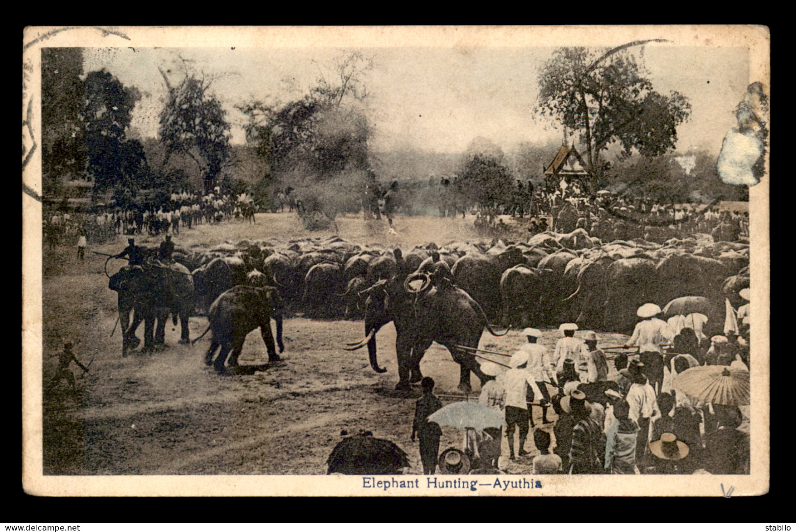 THAILANDE - ELEPHANT HUNTING - AYUTHIA - Thailand