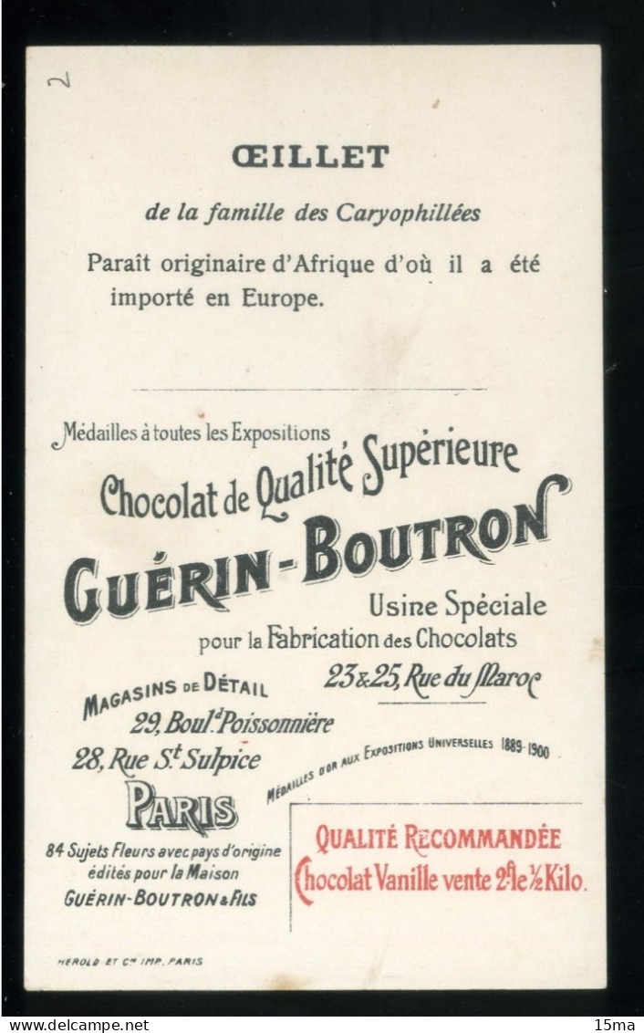 Maroc Chocolat Guérin Boutron Oeillet Image Chromo 6 X 10 Cm - Guérin-Boutron