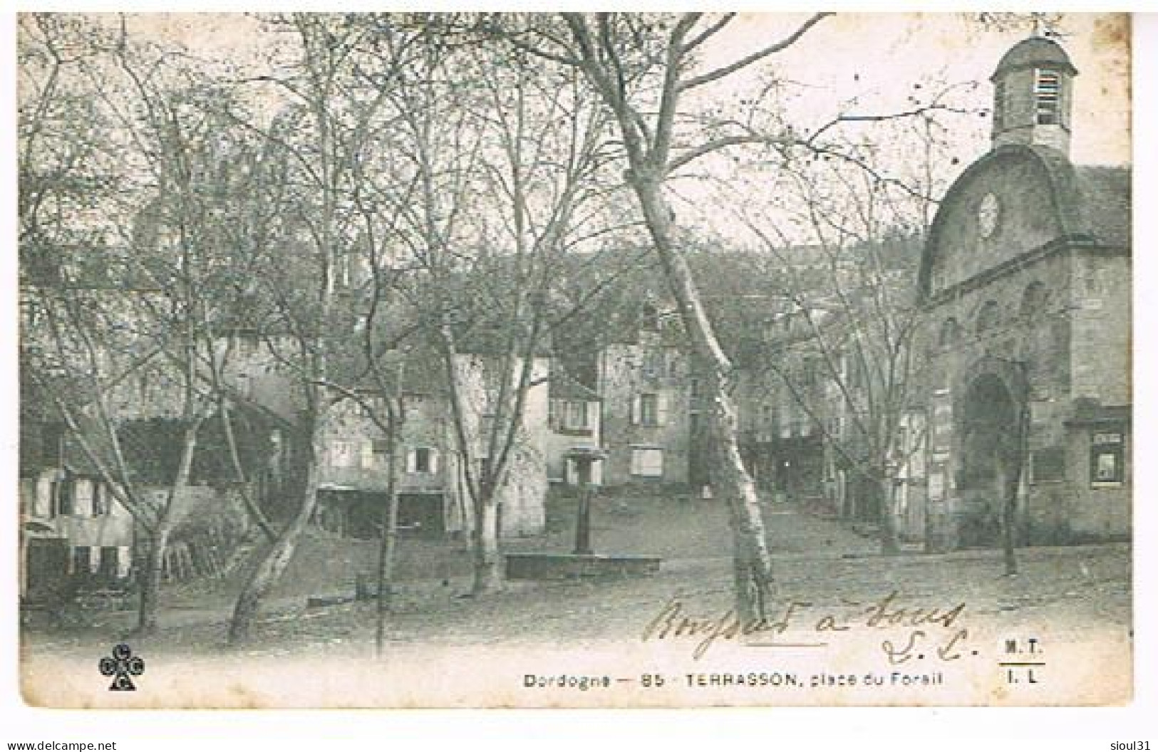 24  TERRASSON  PLACE DU FOIRAIL  1904 - Terrasson-la-Villedieu