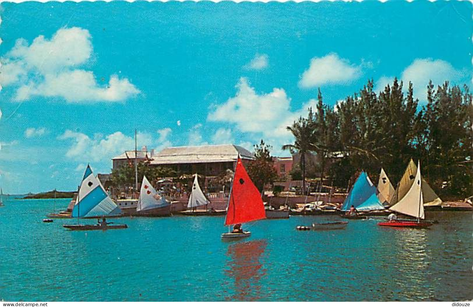 Antilles - Bermudes - Bermuda - Sunfish Sailboats Show Off Their Gaily Coloured Sails In Front Of Glencoe Guesf House, P - Bermuda