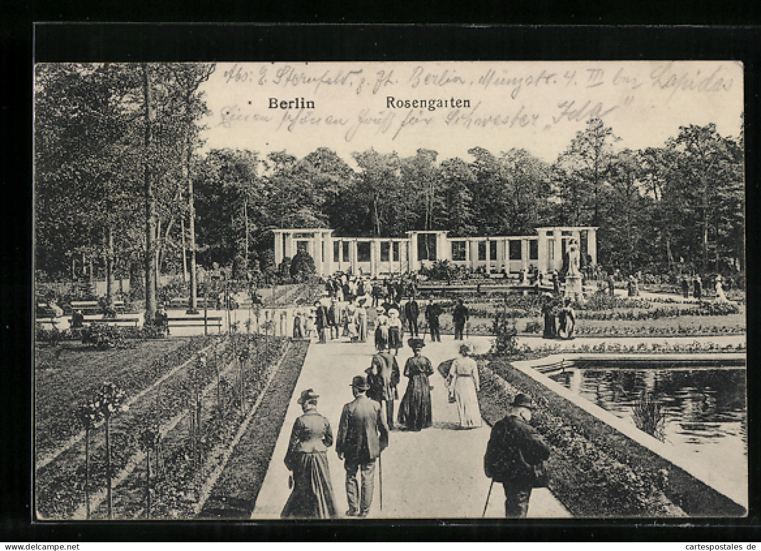 AK Berlin-Tiergarten, Im Tiergarten, Rosengarten  - Dierentuin