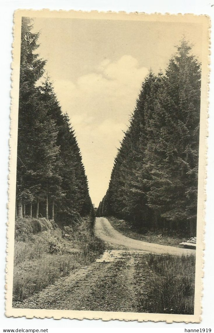 Hockai Une Route Des Fagnes Photo Carte Liège Belgique Htje - Aywaille