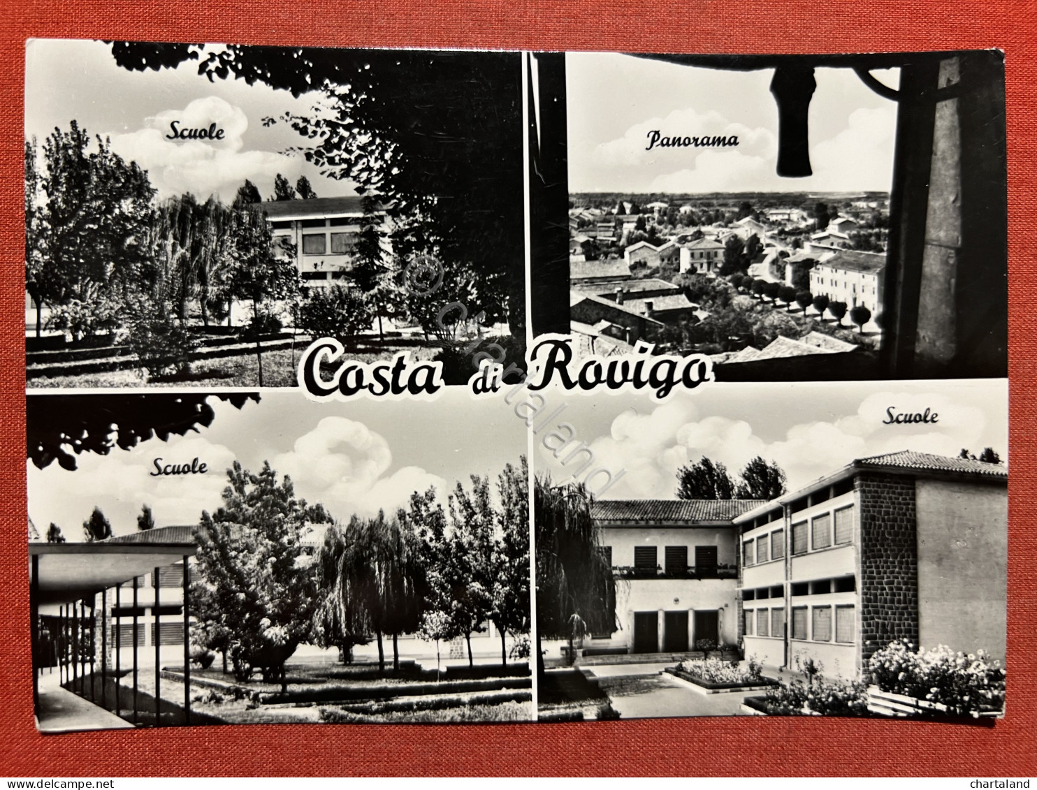 Cartolina - Costa Di Rovigo - Vedute Diverse - 1964 - Rovigo