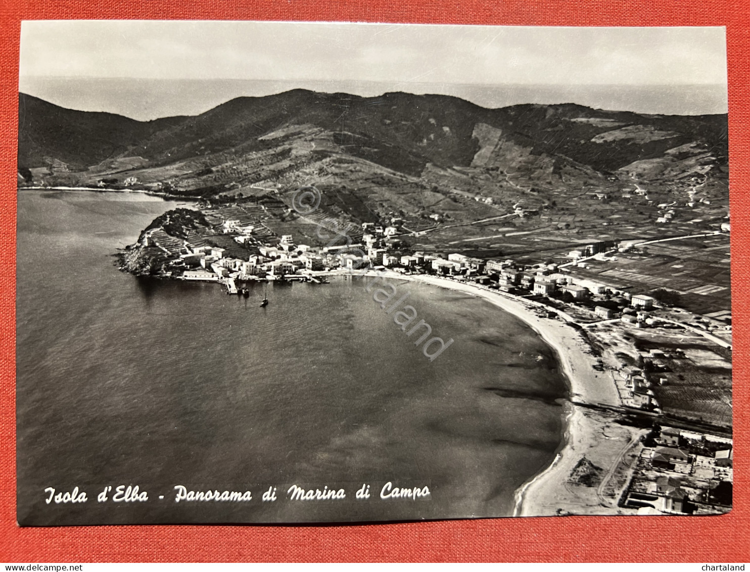 Cartolina - Isola D'Elba - Panorama Di Marina Di Campo - 1956 - Livorno