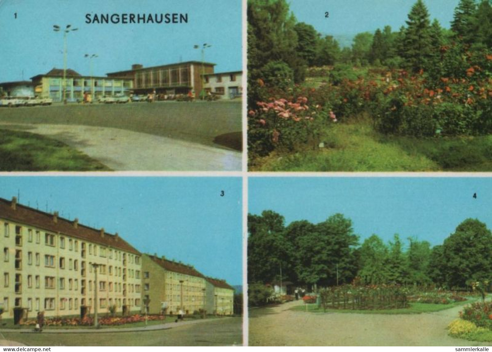 82994 - Sangerhausen - U.a. Rosarium - 1971 - Sangerhausen