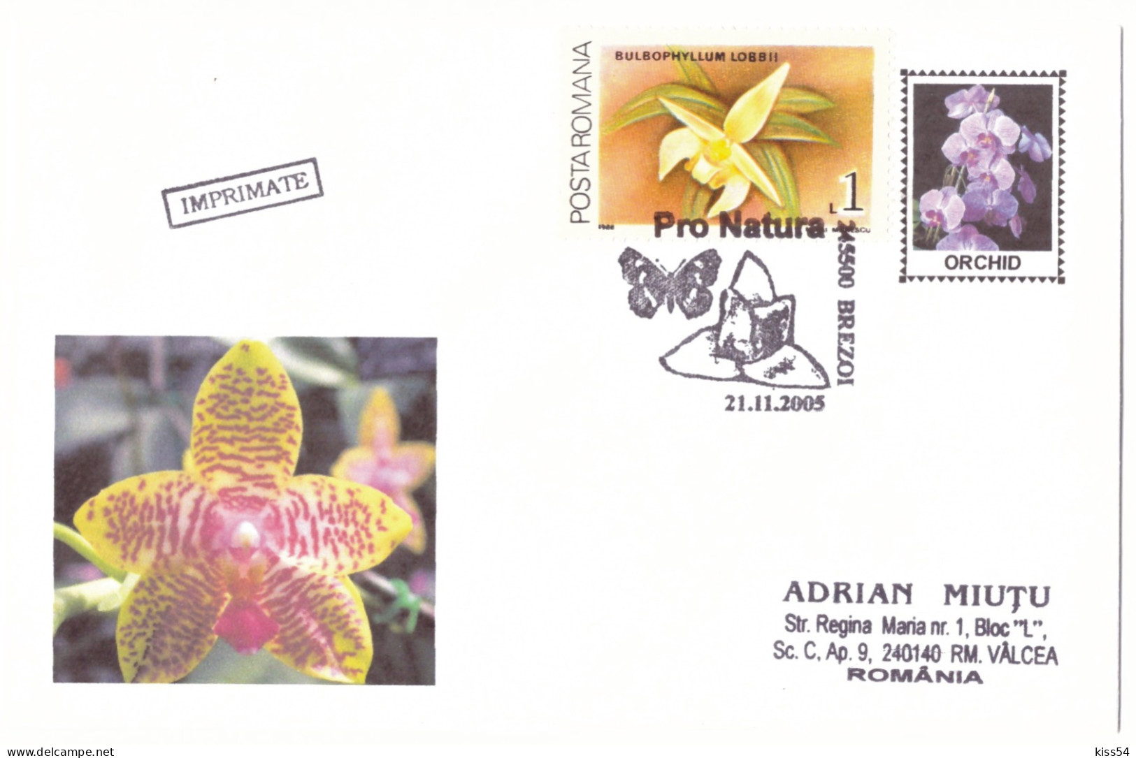 COV 84 - 1177 ORCHID, Romania - Cover - 2005 - Orchidées