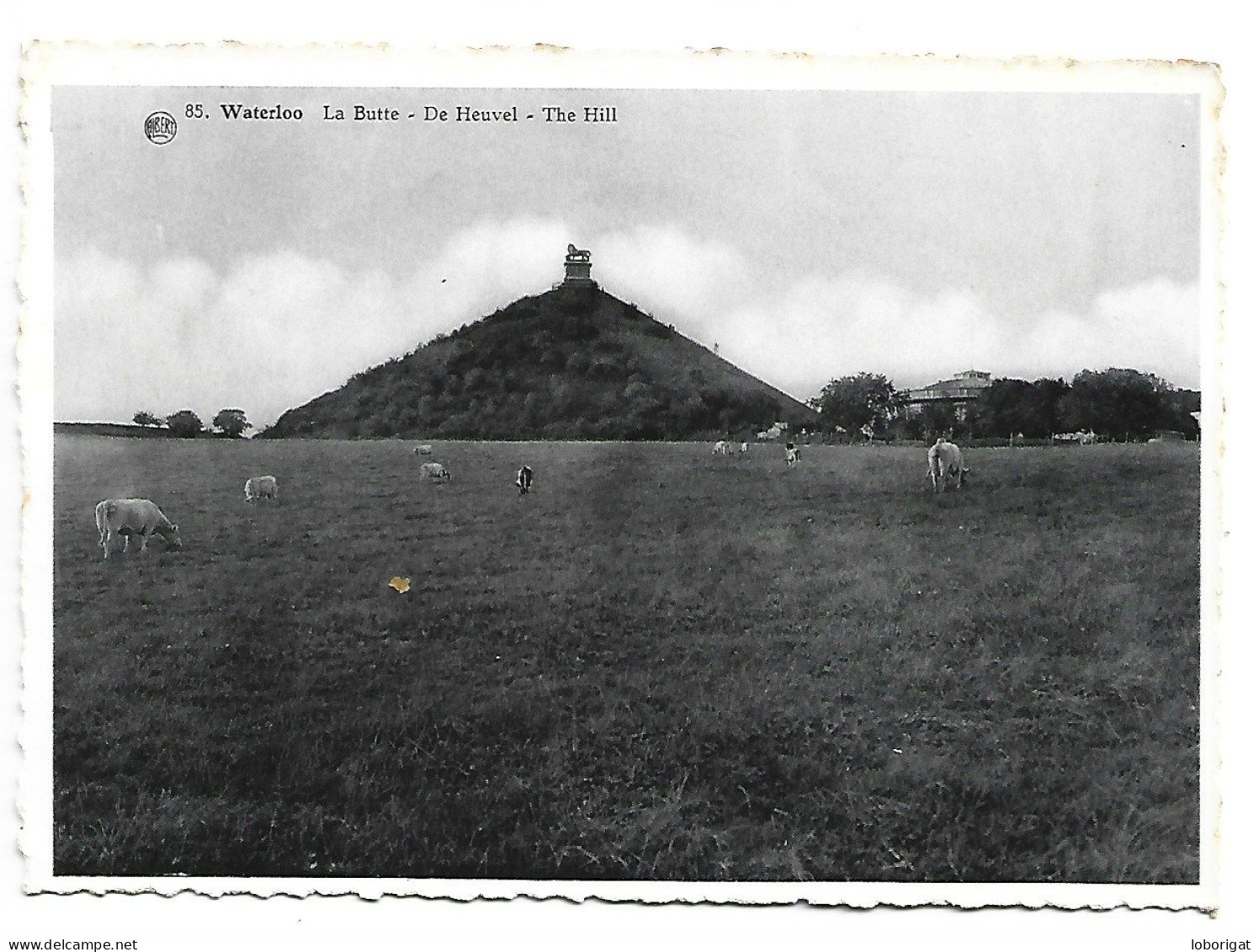 LA BUTTE / DE HEUVEL / THE HILL.- WATERLOO - BRUSELAS.- ( BELGICA ) - Waterloo