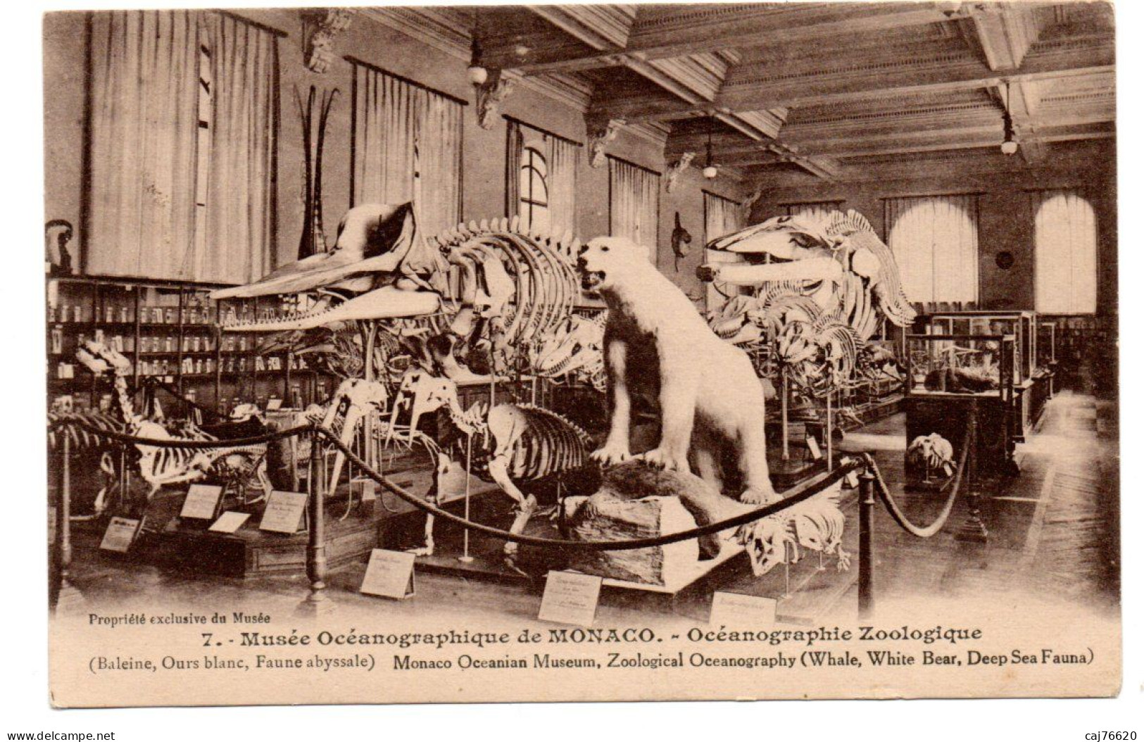 Monaco , Musée Océanographique , Océanographie Zoologique - Museo Oceanografico