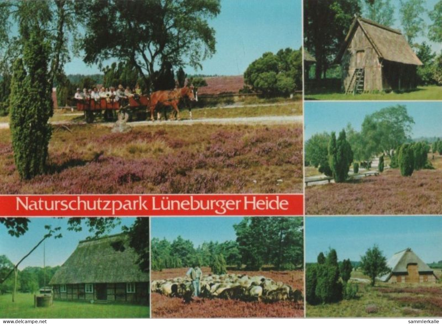 74993 - Lüneburger Heide - 6 Teilbilder - 1982 - Lüneburger Heide