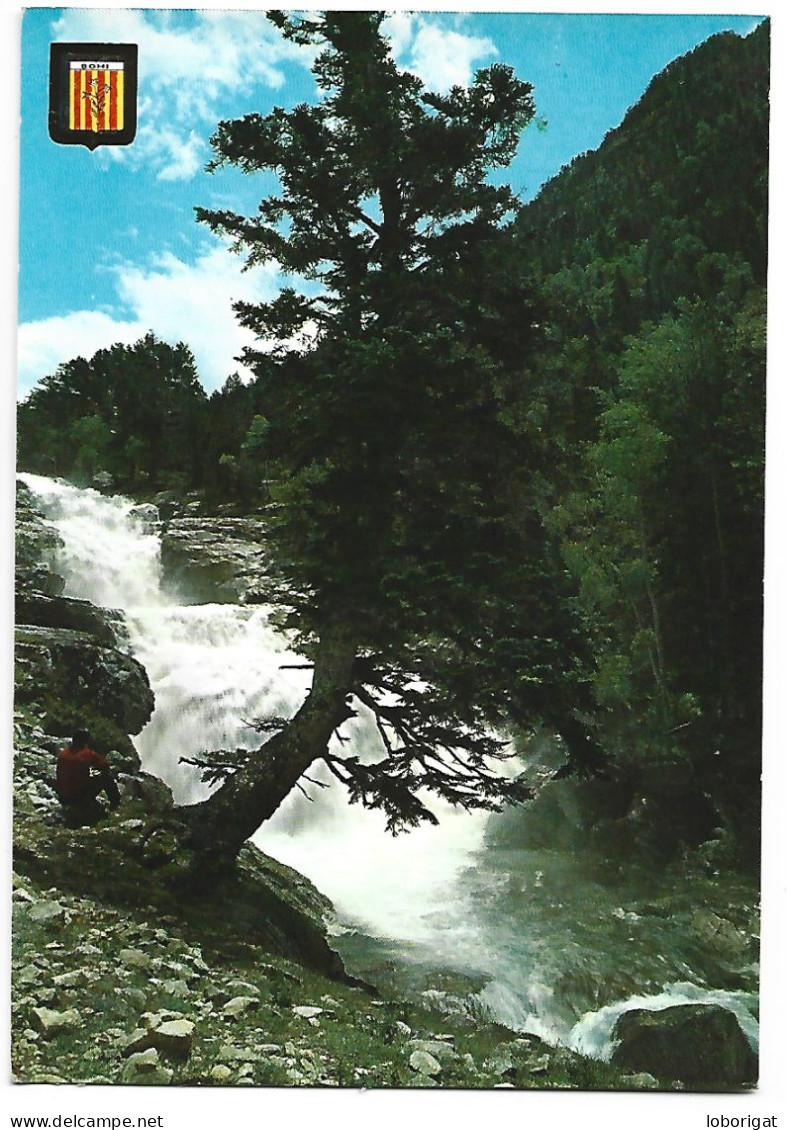 CASCADA.- VALL DE BOHI.- PARQUE NACIONAL " AIGUES TORTES " / NATIONAL PARK "D'AIGUES TORTES ".-  LLEIDA.- ( CATALUNYA) - Lérida