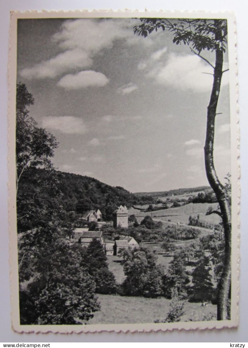 BELGIQUE - NAMUR - ASSESSE - CRUPET - Panorama Depuis La Route De Mont - Assesse