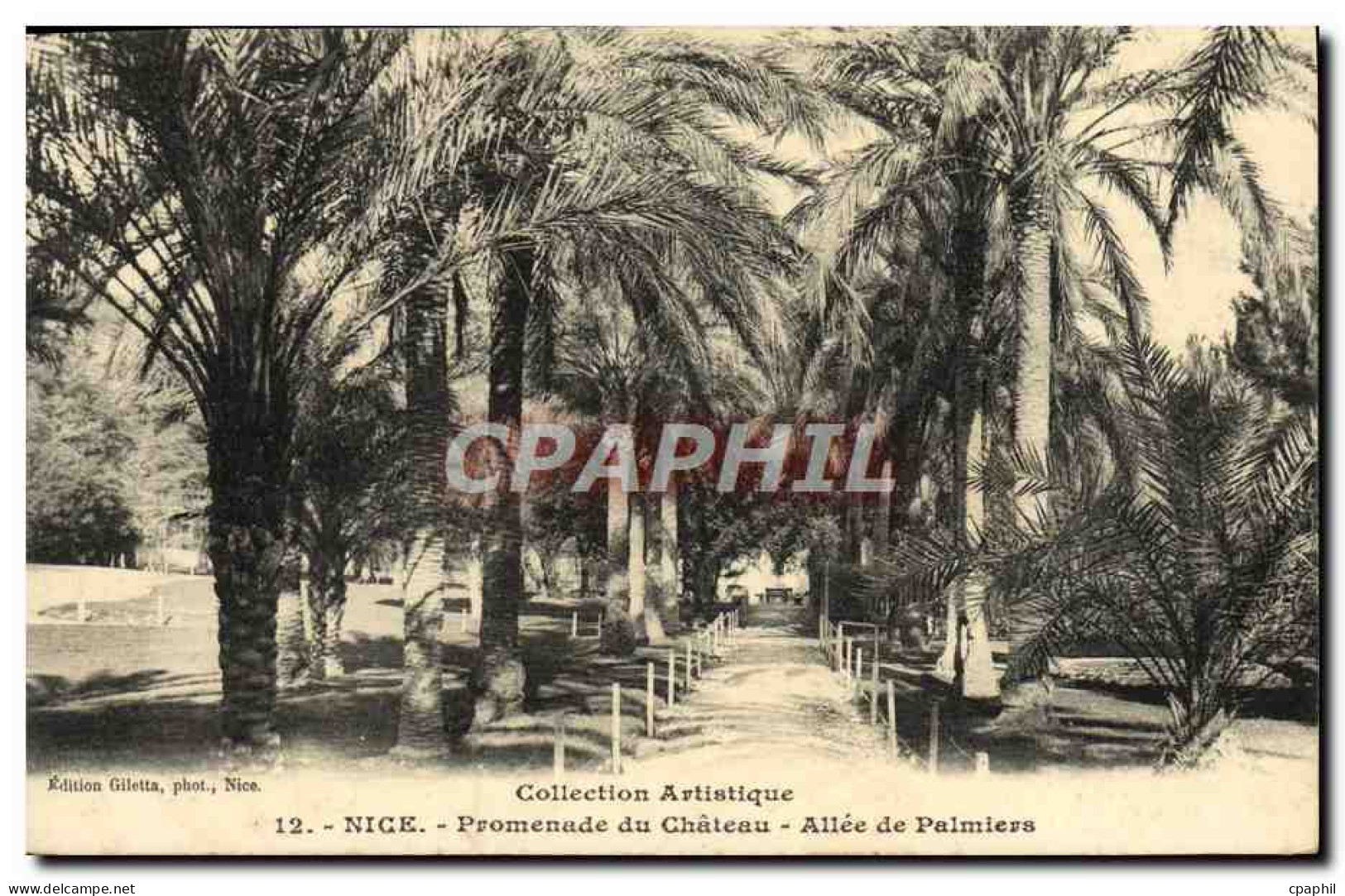 CPA Nice Promenade Du Chateau Allee De Palmiers  - Parcs Et Jardins