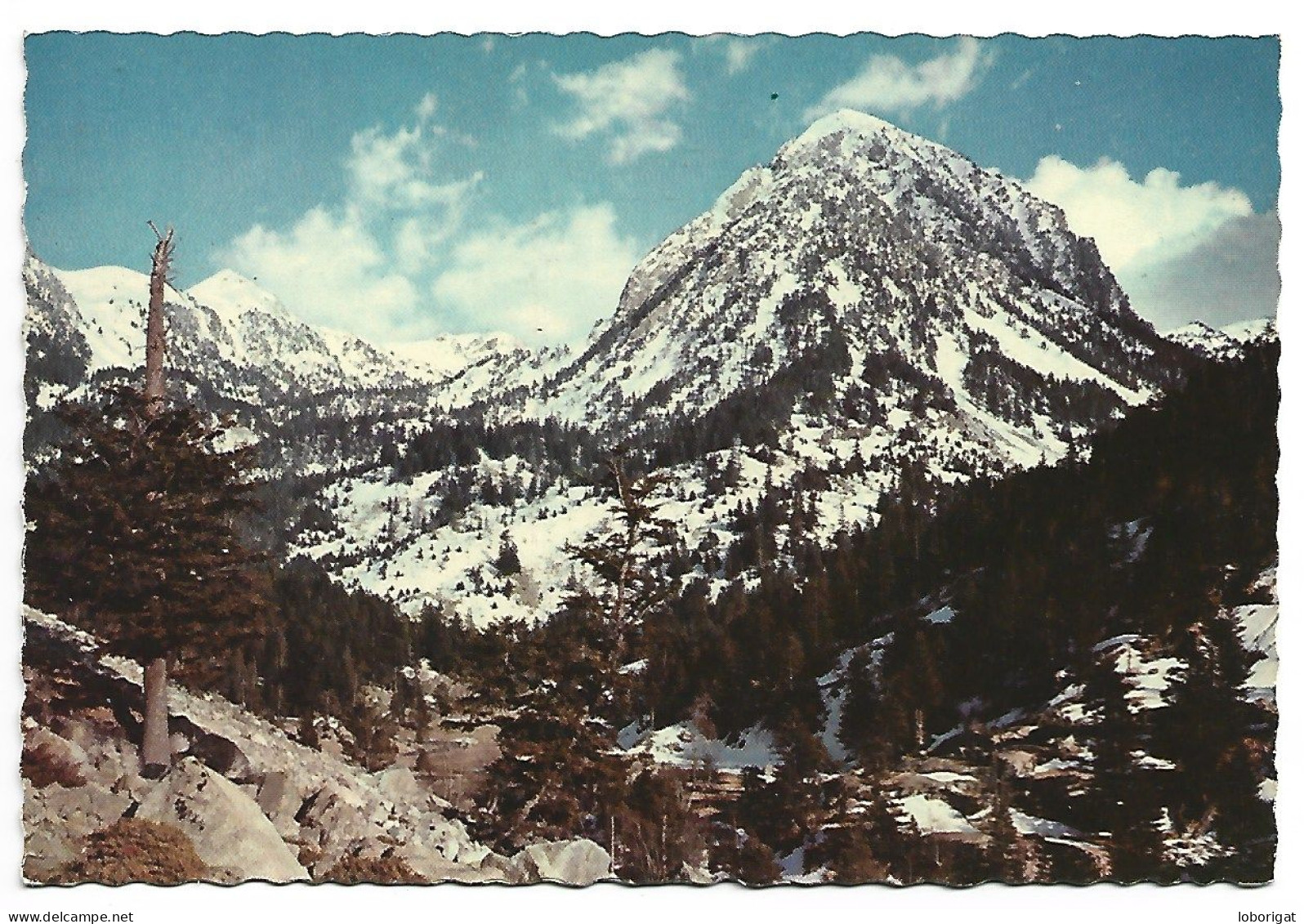 PARQUE NACIONAL " AIGUES TORTES " / PARC NATIONAL " AIGUES TORTES ".- .- VALL DE BOHI - LLEIDA.- ( CATALUNYA) - Lérida