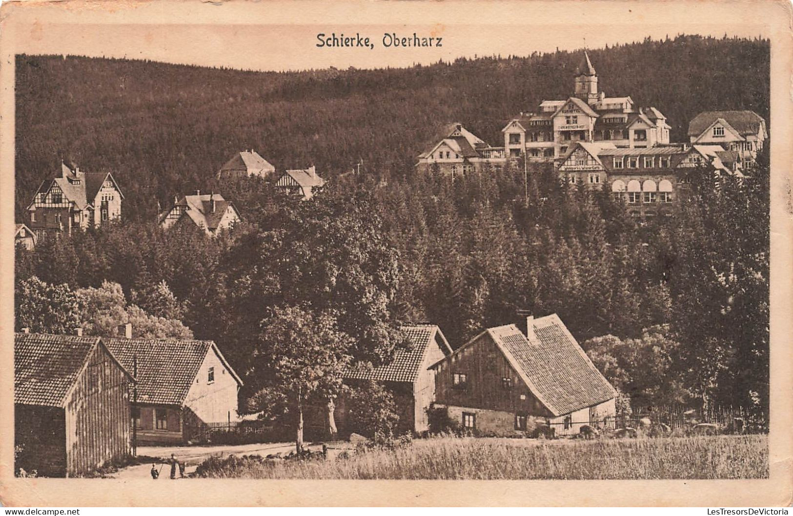 ALLEMAGNE - Schierke - Oberharz - Vue Générale De La Ville - Vue Au Loin De La Forêt - Carte Postale Ancienne - Schierke