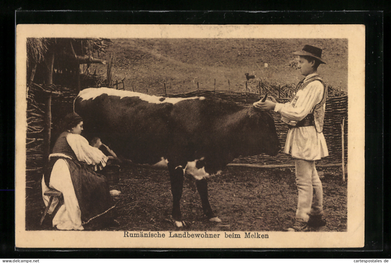 AK Romänische Landbewohner Beim Melken, Bauern Mit Kuh  - Non Classificati