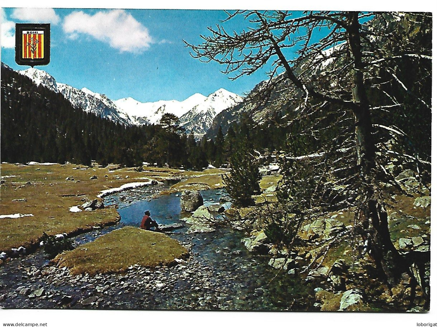 PARC NACIONAL D'" AIGUES TORTES " / AIGUES TORTES NATIONAL PARK.- .- VALL DE BOHI - LLEIDA.- (CATALUNYA) - Lérida