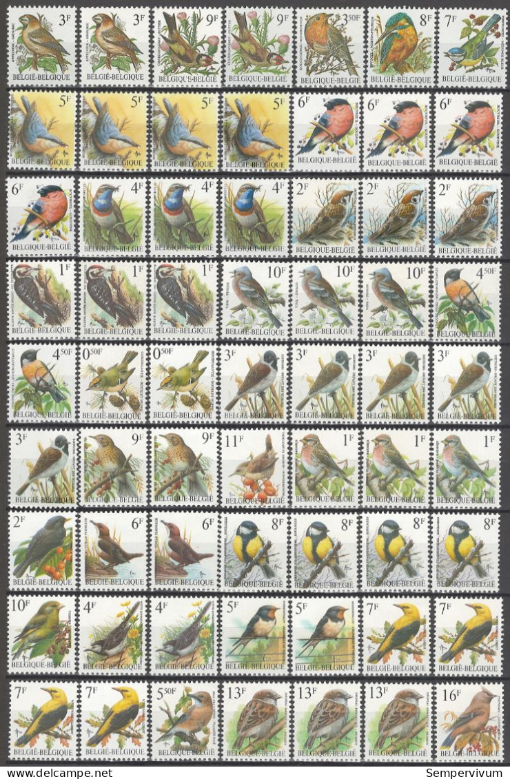 Belgium Birds Buzin , All Types Off Stamps And Papers According COB 1985 / 2022 High Catalogue Value - Konvolute & Serien