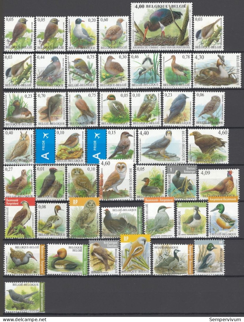 Belgium Birds Buzin , All Types Off Stamps And Papers According COB 1985 / 2022 High Catalogue Value - Konvolute & Serien