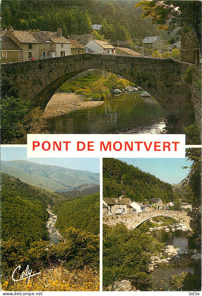 48 - LE PONT DE MONTVERT - Le Pont De Montvert