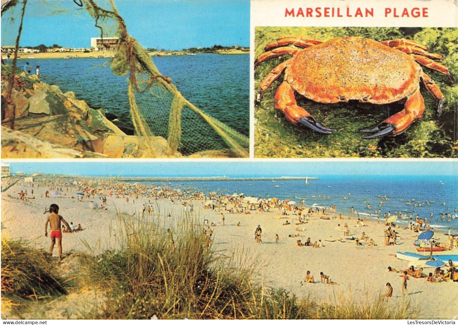 FRANCE - Marseillan - L'hôtel Du Crabe Vu De La Jetée Et La Plage - Carte Postale - Marseillan