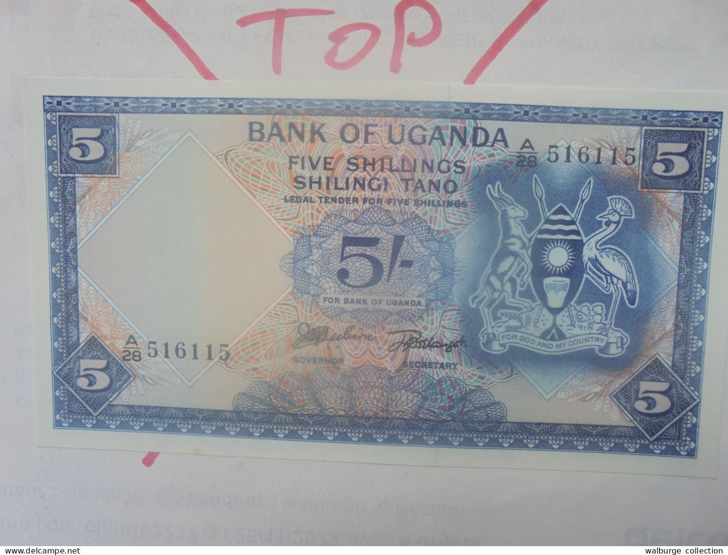 OUGANDA 5 SHILLINGS 1966 Neuf (B.33) - Uganda