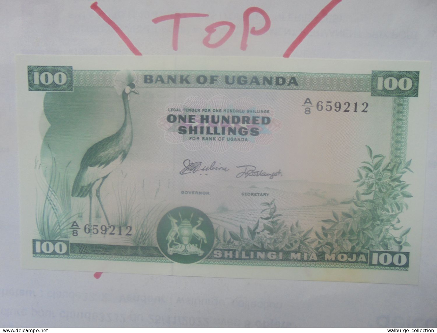 OUGANDA 100 SHILLINGS 1966 Neuf (B.33) - Ouganda