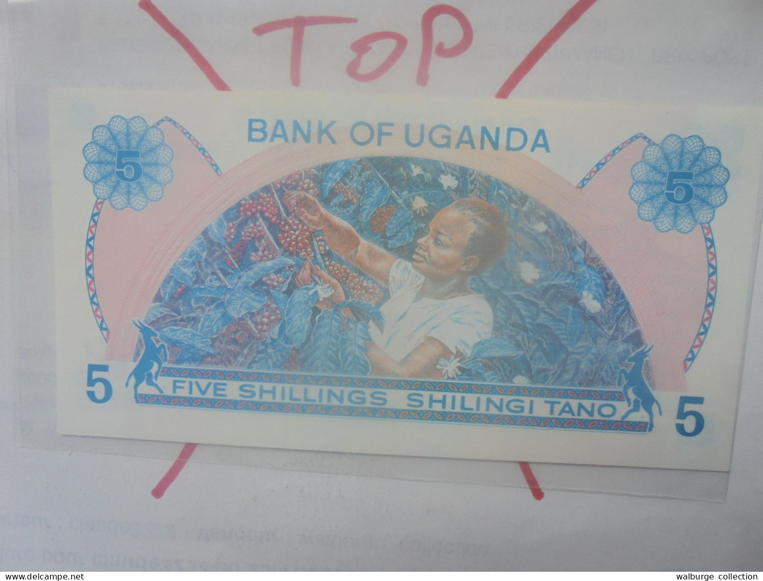 OUGANDA 5 SHILLINGS 1977 Neuf (B.33) - Ouganda