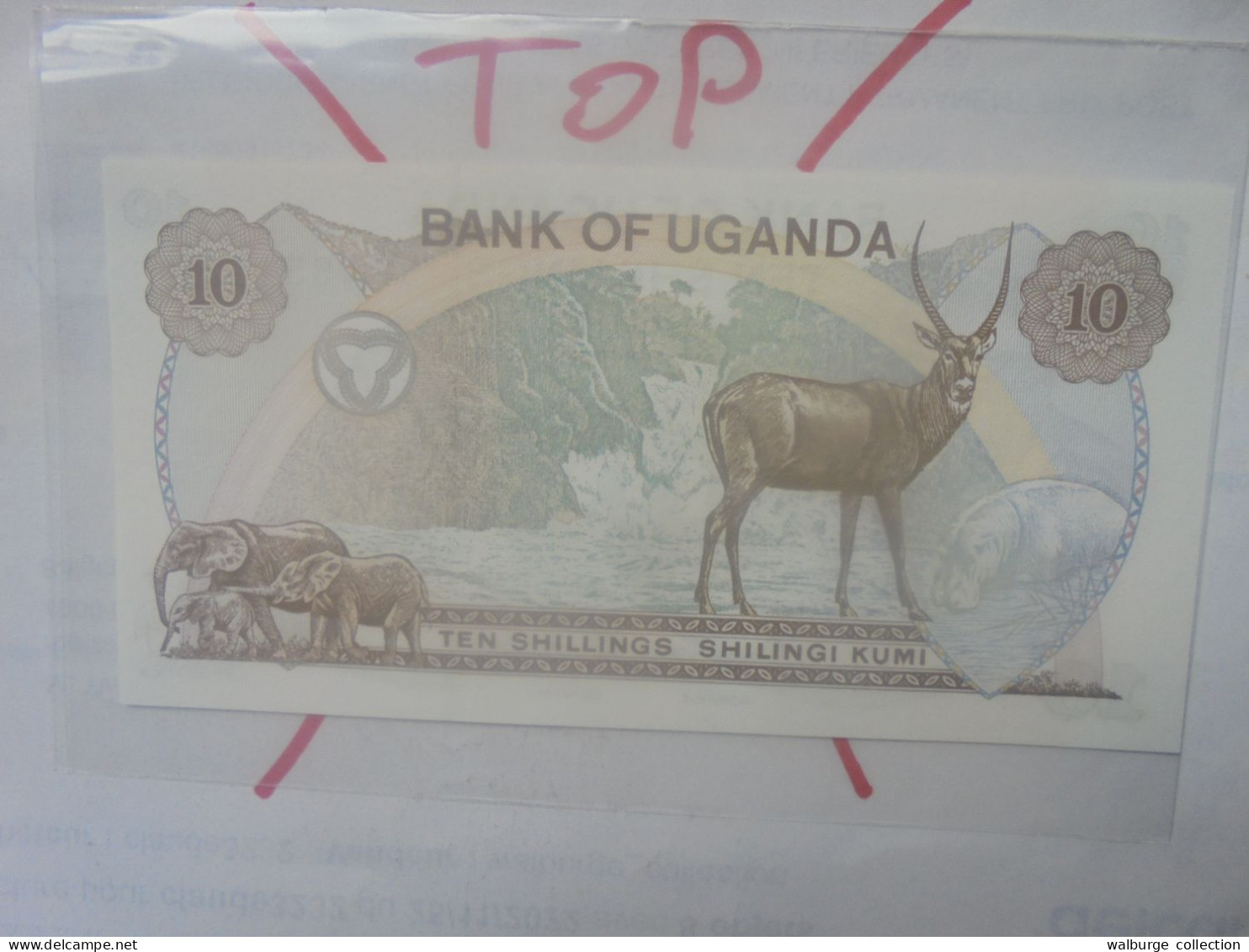 OUGANDA 10 SHILLINGS 1973 Neuf (B.33) - Uganda