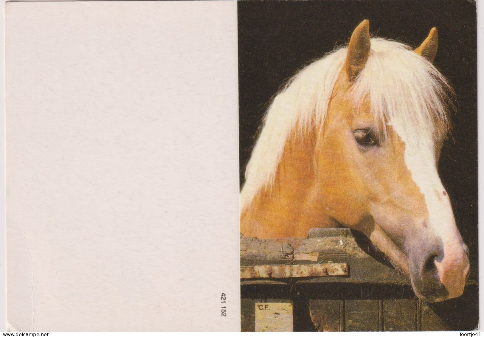Kalender Calendrier - Paard - 1992 - Klein Formaat: 1991-00