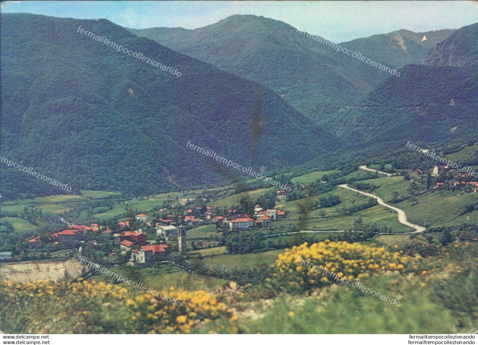 I746 Cartolina Gazzano Panorama E Val Dolo Provincia Di Reggio Emilia - Reggio Nell'Emilia