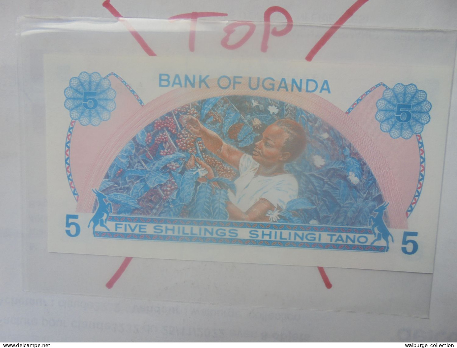 OUGANDA 5 SHILLINGS 1979 Neuf (B.33) - Uganda