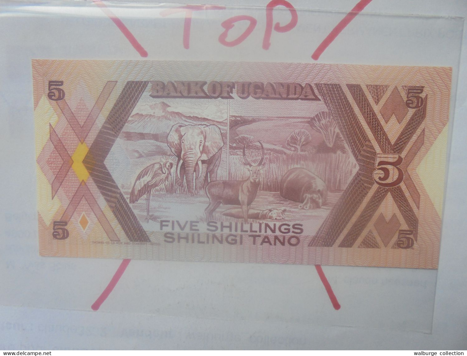 OUGANDA 5 SHILLINGS 1987 Neuf (B.33) - Uganda