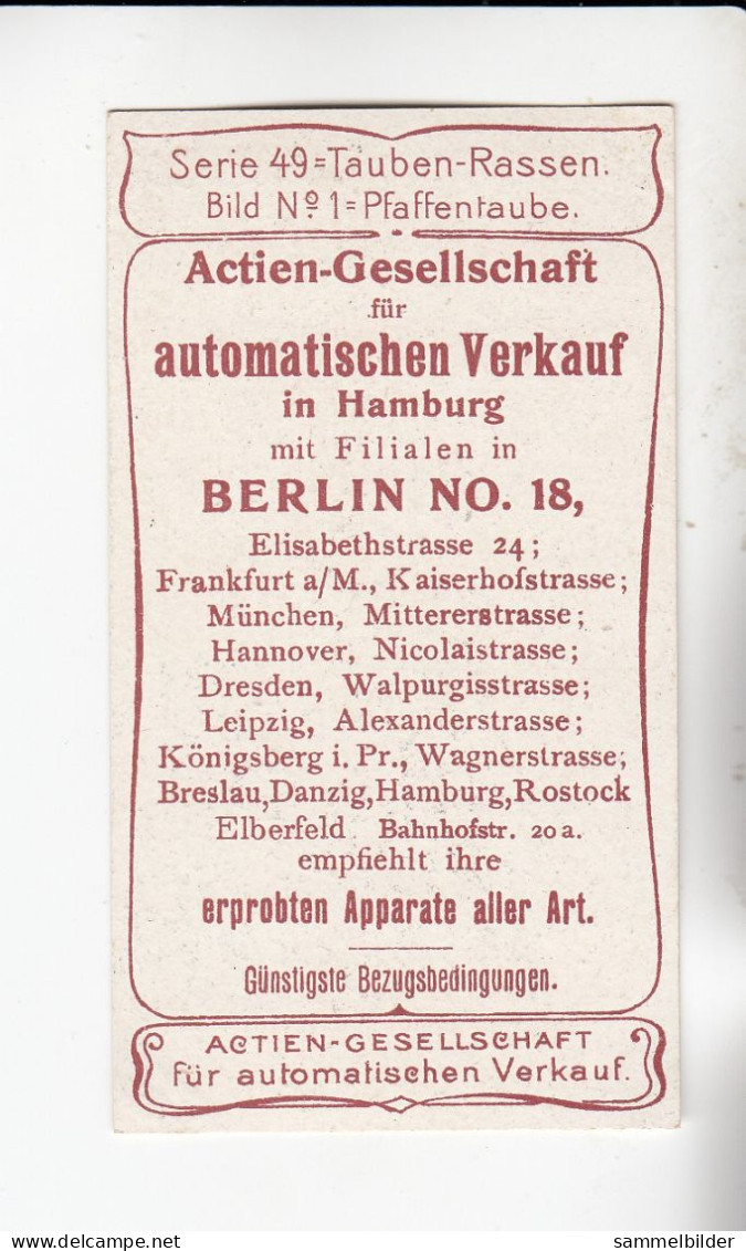 Actien Gesellschaft  Tauben - Rassen Pfaffentaube    Serie  49 #1 Von 1900 - Stollwerck