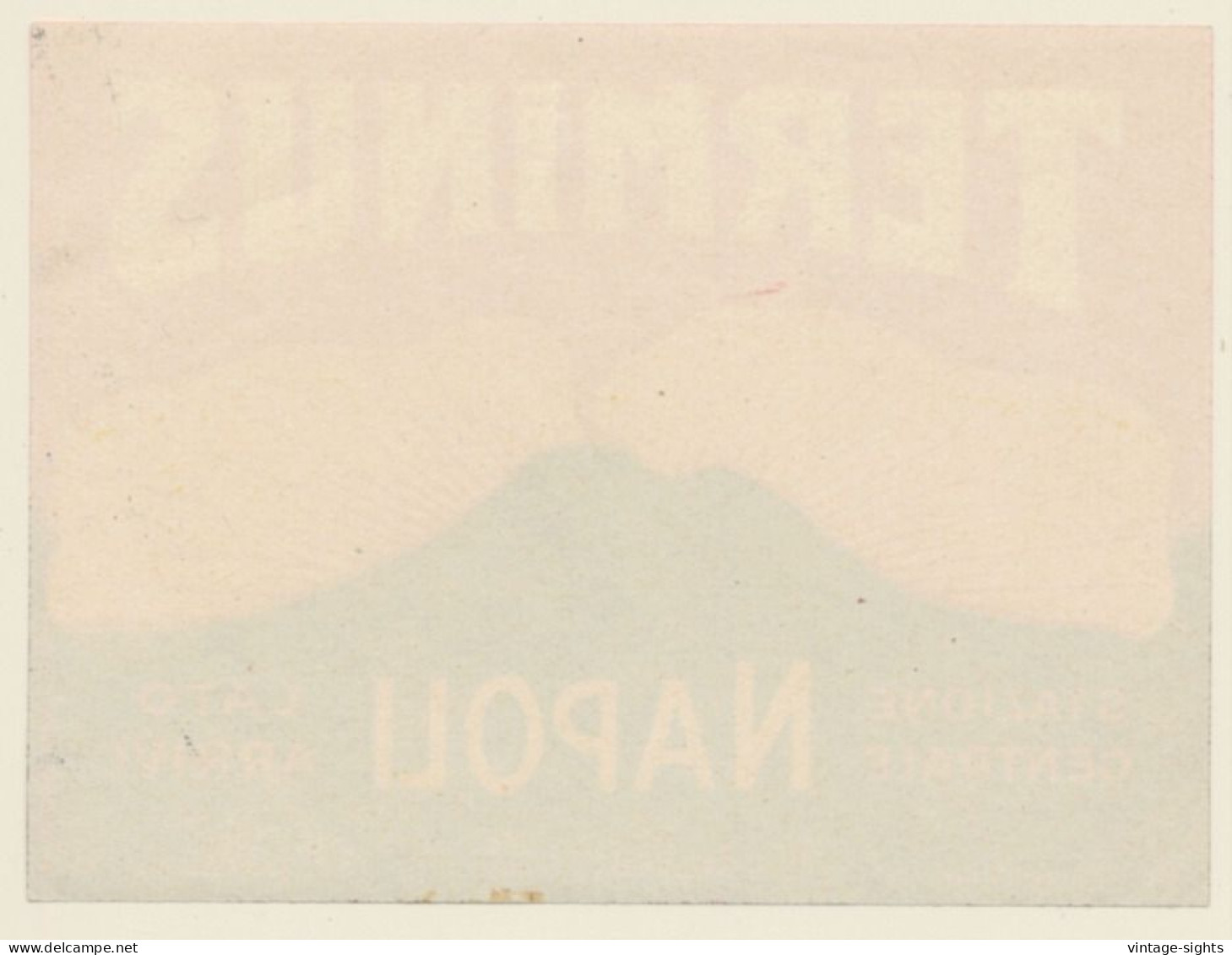 Naples / Italy: Terminus Hotel Napoli (Vintage Luggage Label RICHTER 1930s) - Adesivi Di Alberghi