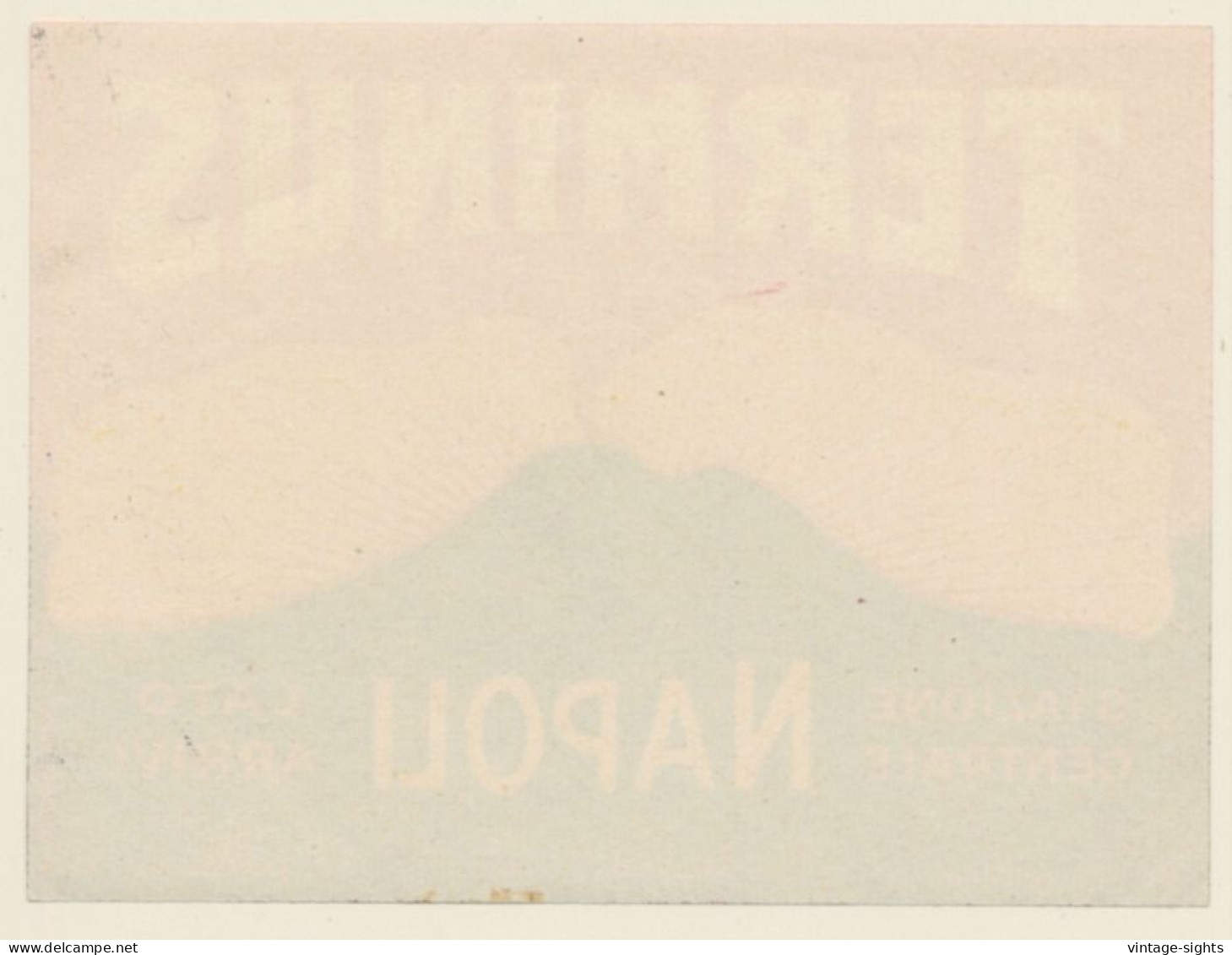 Naples / Italy: Terminus Hotel Napoli (Vintage Luggage Label RICHTER 1930s) - Hotel Labels
