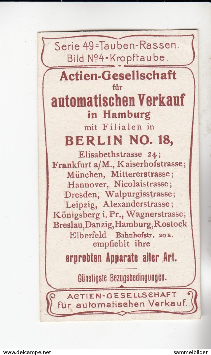 Actien Gesellschaft  Tauben - Rassen Kropftaube   Serie  49 #4 Von 1900 - Stollwerck