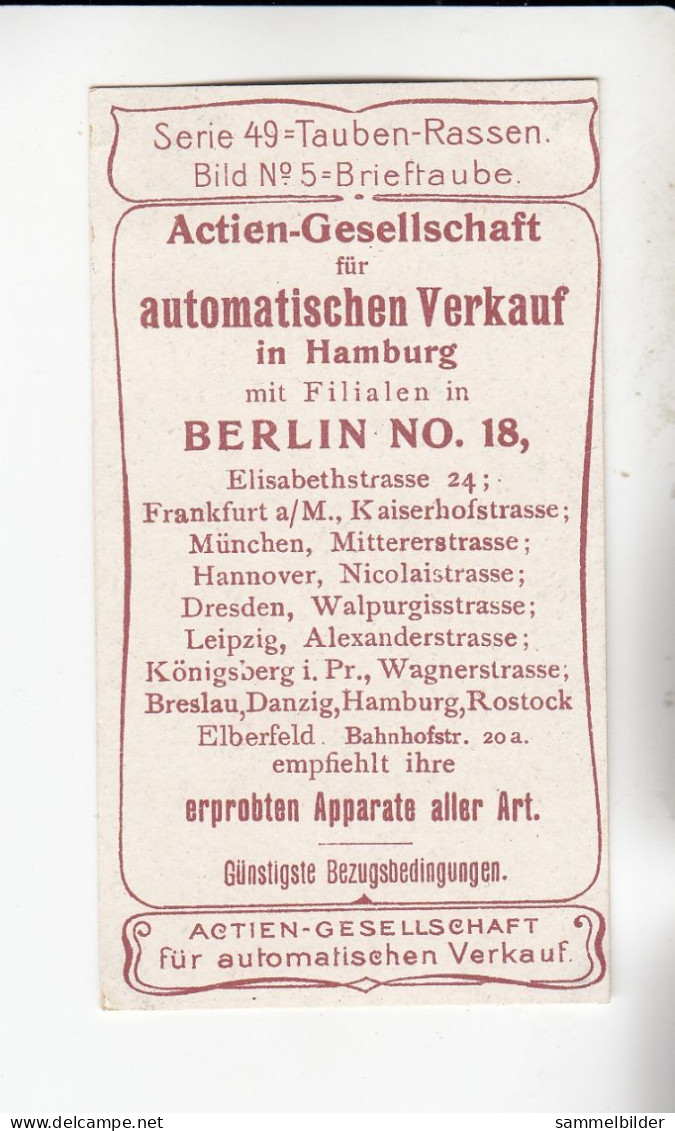 Actien Gesellschaft  Tauben - Rassen Brieftaube    Serie  49 #5 Von 1900 - Stollwerck