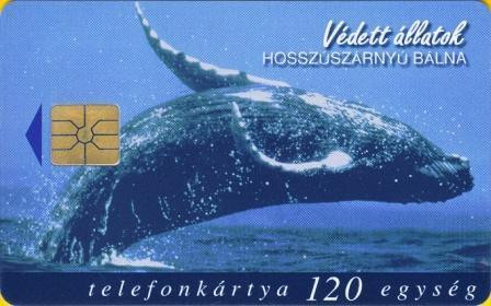 Hungary - P1998-24 - Whale - Hosszúszárnyú Bálna - Ungheria