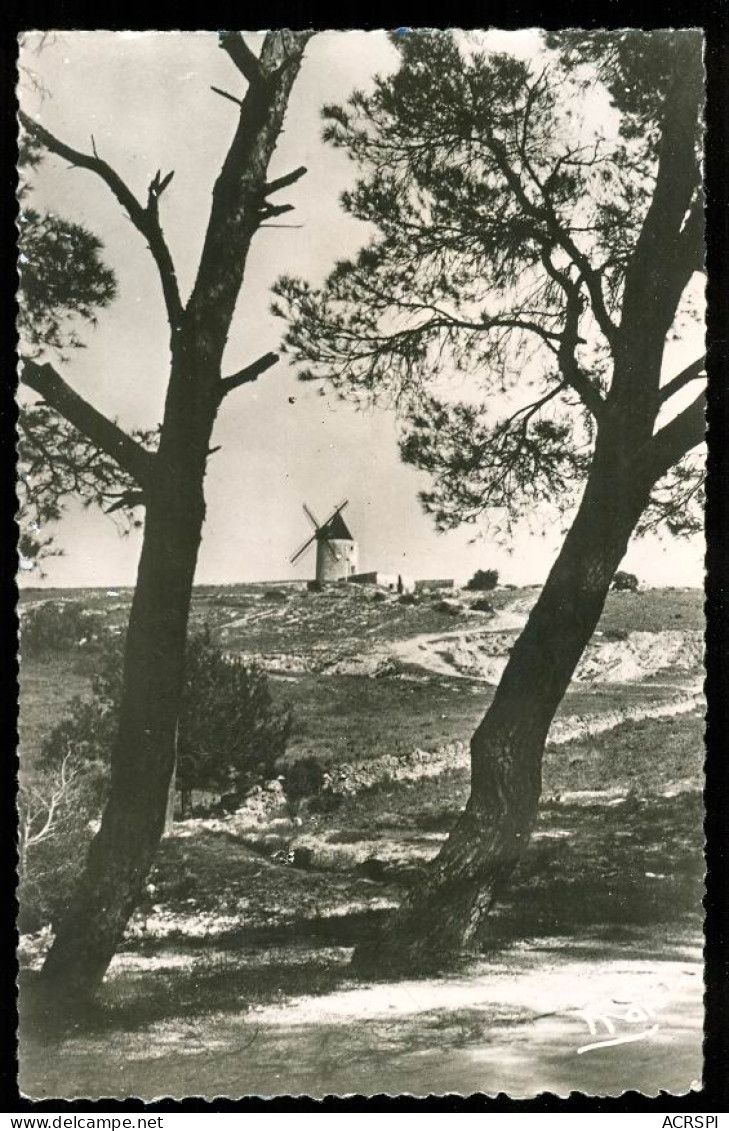 Le Moulin De Daudet  - Provence-Alpes-Côte D'Azur