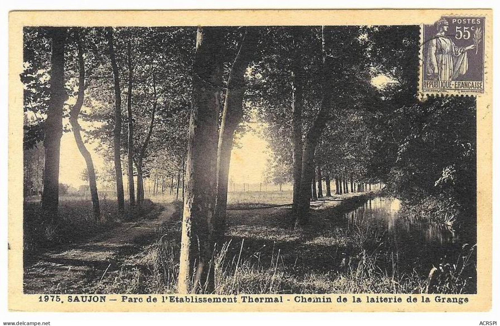 SAUJON  Chemin De La Laiterie De La Grange édition Et Cliché Le Guistrennec  Carte Rare - Saujon